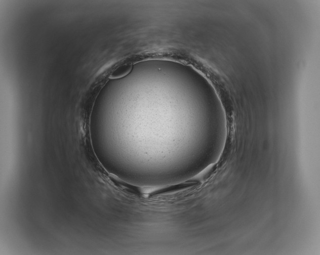 X0000112751206200908271535