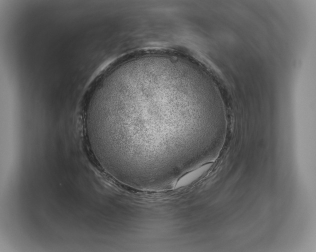 X0000112751208200908271535