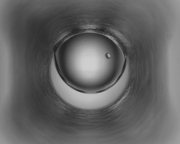 X0000112751209200908271535