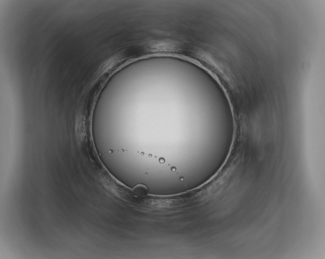 X0000112751211200908271535