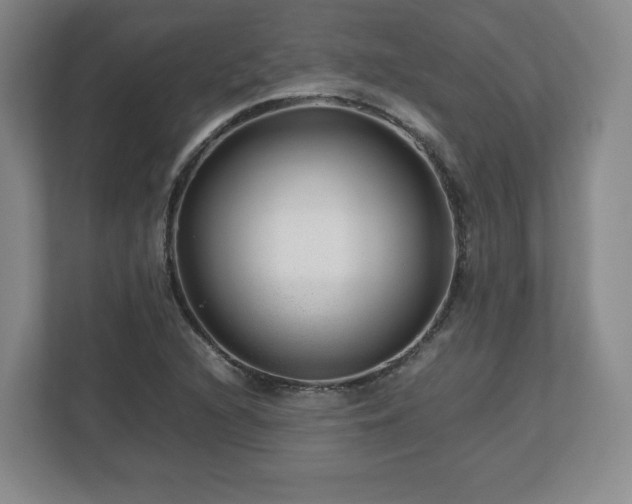 X0000112751216200908271535