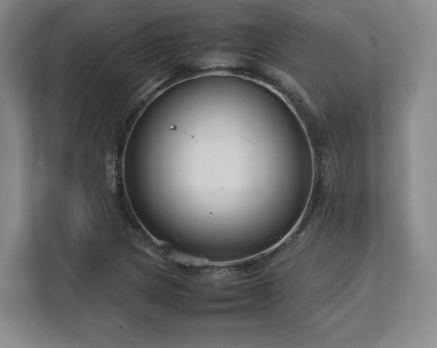 X0000112751217200908271535