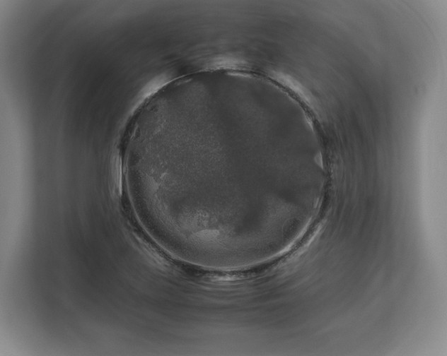 X0000112751219200908271535