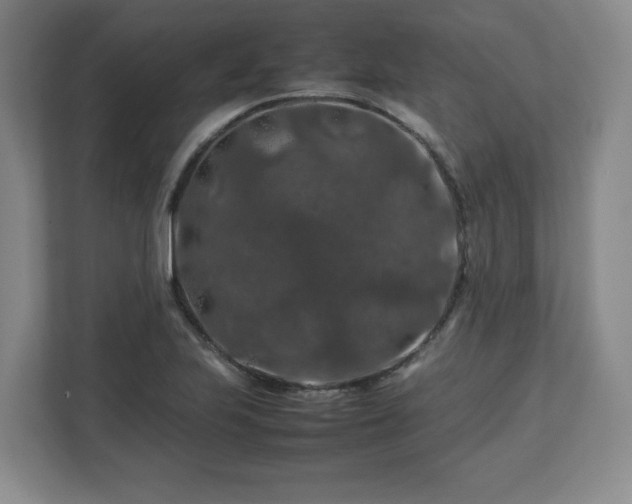 X0000112751223200908271535