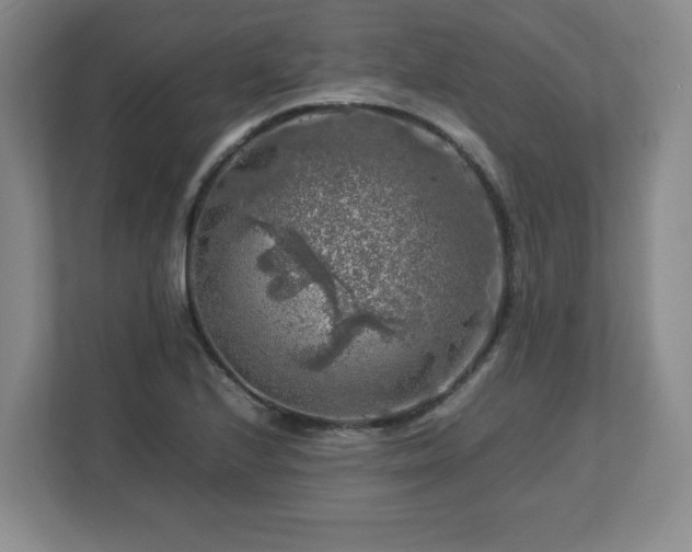 X0000112751224200908271535