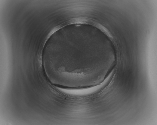 X0000112751226200908271535