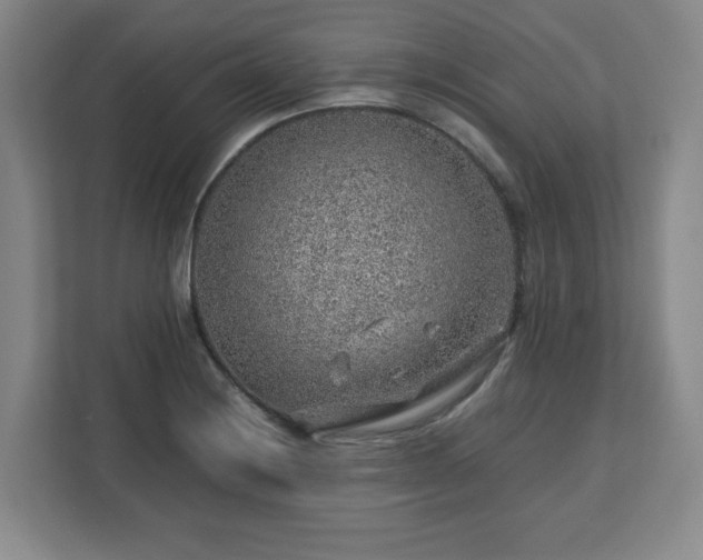 X0000112751228200908271535