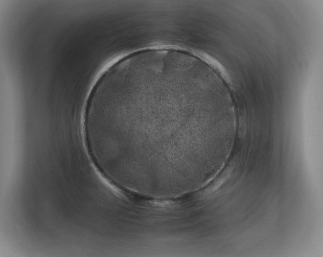 X0000112751231200908271535