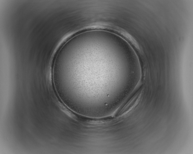 X0000112751232200908271535