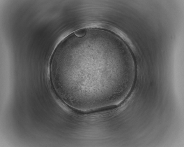 X0000112751234200908271535