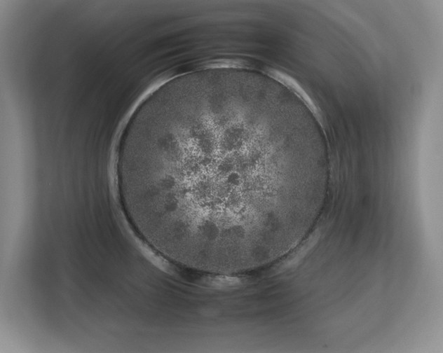 X0000112751235200908271535