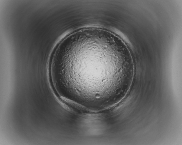 X0000112751237200908271535