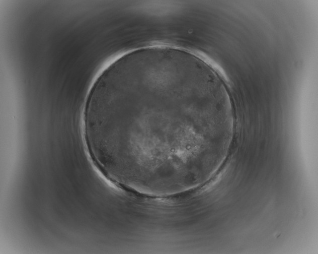 X0000112751239200908271535