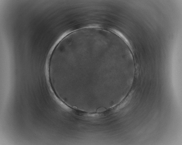 X0000112751243200908271535