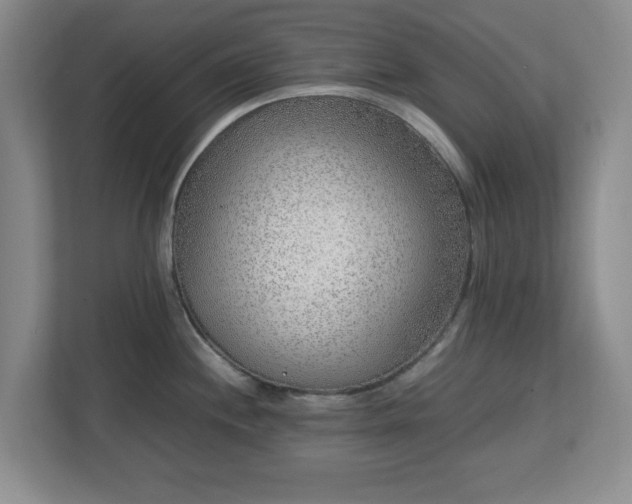 X0000112751244200908271535