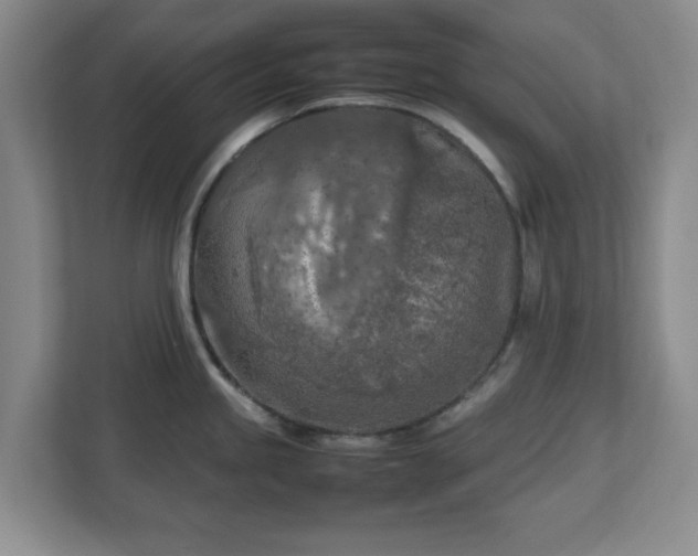 X0000112751245200908271535