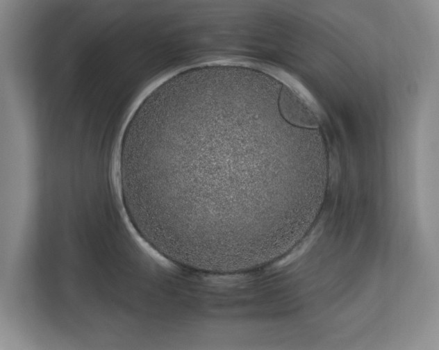 X0000112751247200908271535