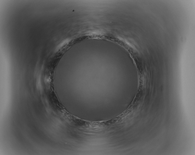 X0000112751254200908271535