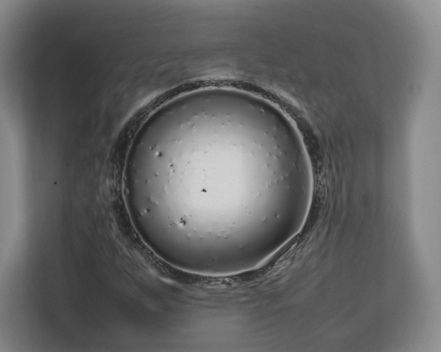 X0000112751255200908271535