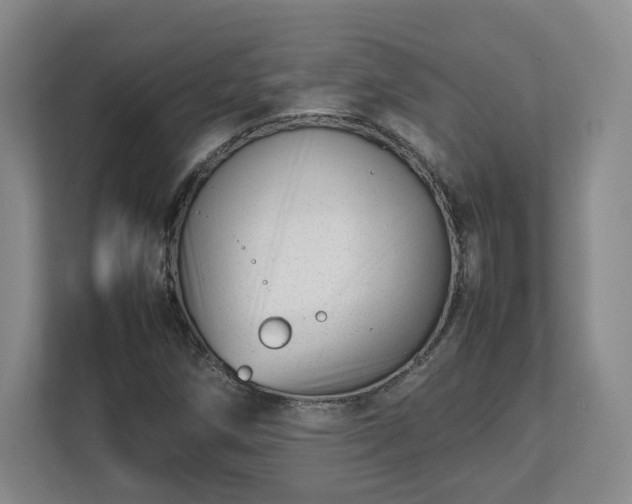 X0000112751258200908271534