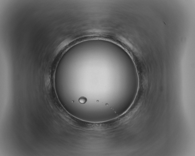 X0000112751259200908271534