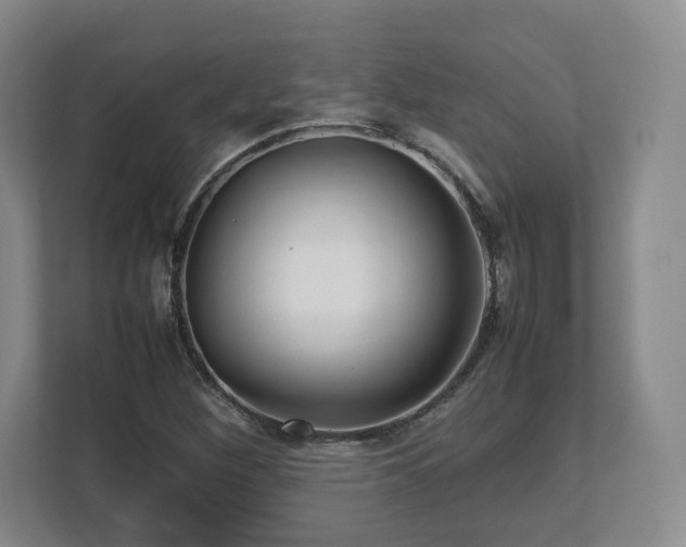 X0000112751260200908271534