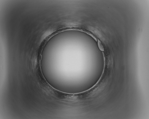 X0000112751261200908271534