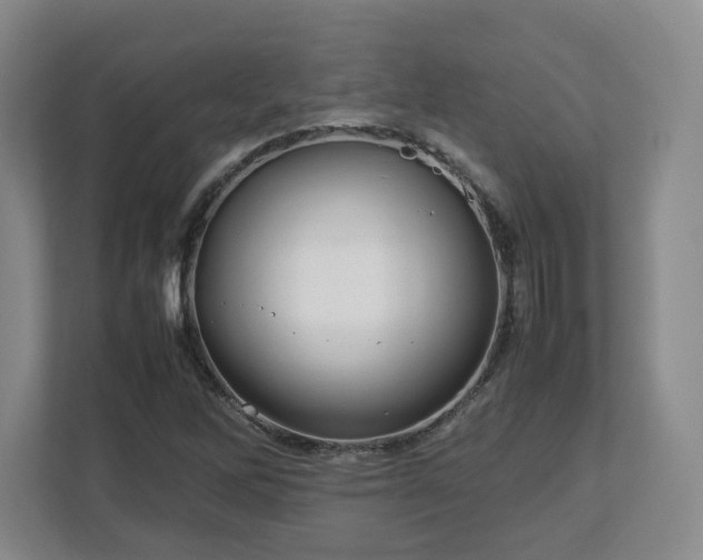 X0000112751262200908271534