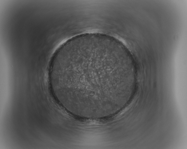 X0000112751263200908271534