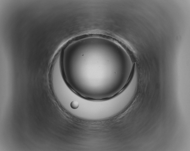 X0000112751264200908271534