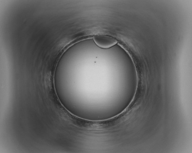 X0000112751265200908271534