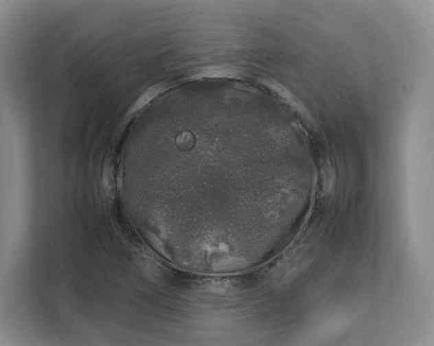 X0000112751266200908271534