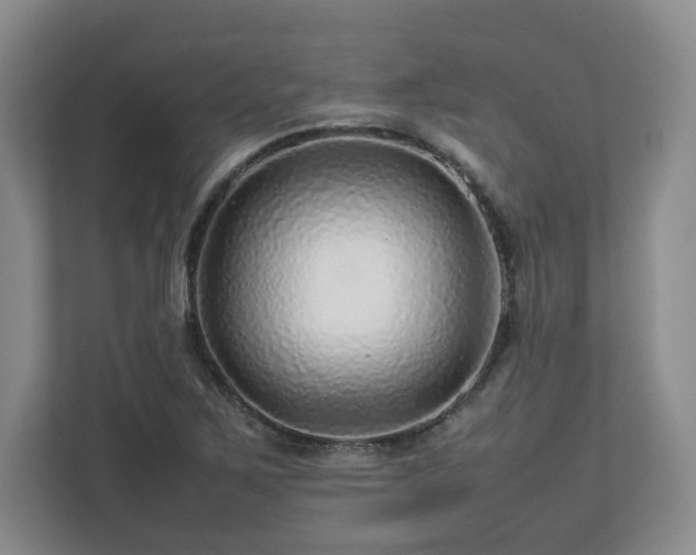 X0000112751267200908271534