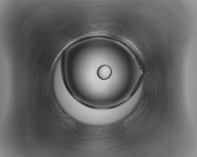 X0000112751268200908271534