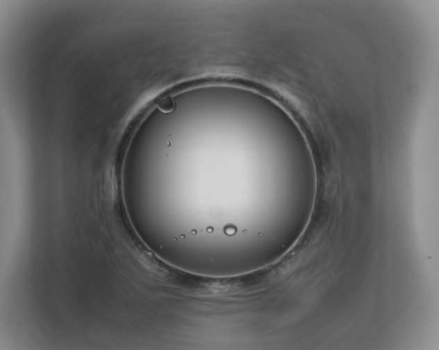 X0000112751271200908271534