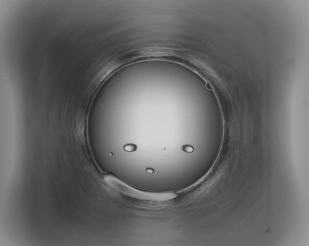 X0000112751273200908271534