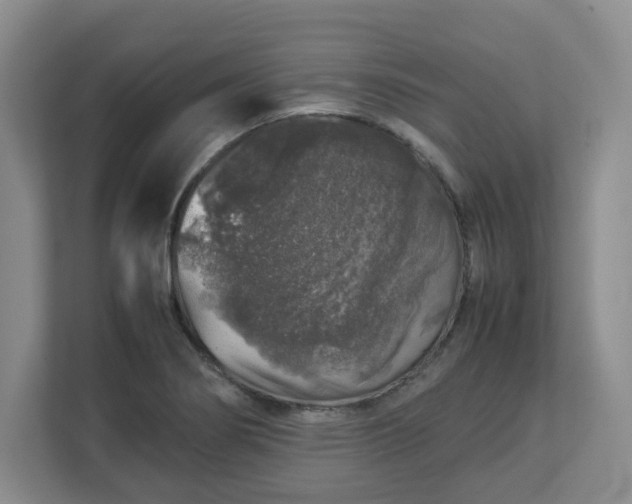 X0000112751274200908271534