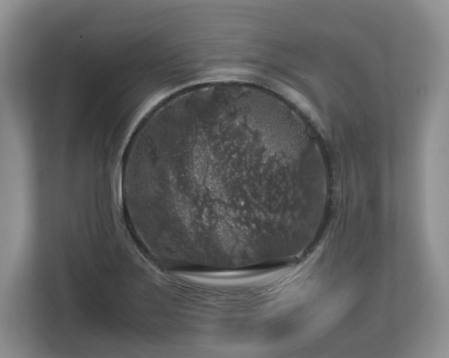 X0000112751275200908271534