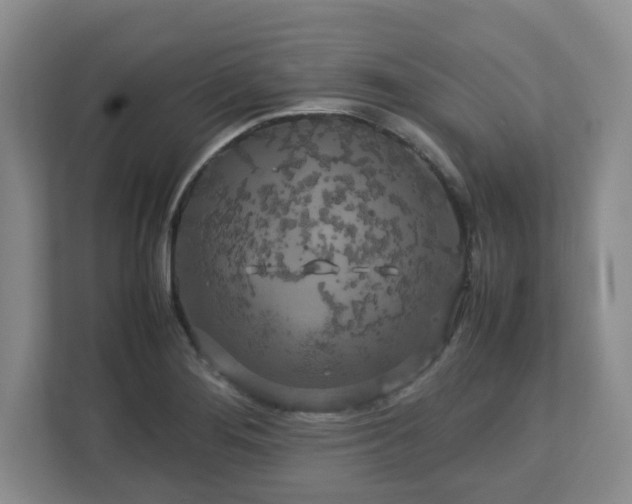 X0000112751276200908271534