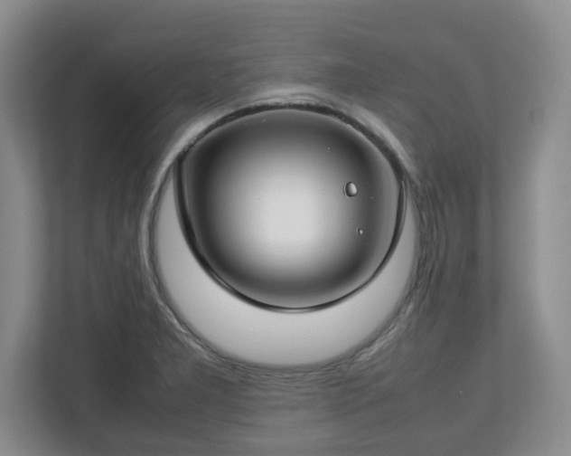 X0000112751277200908271534