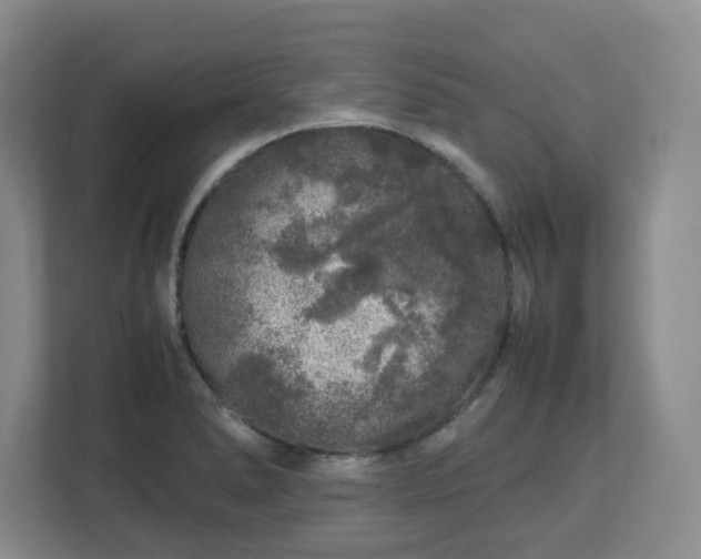 X0000112751278200908271534