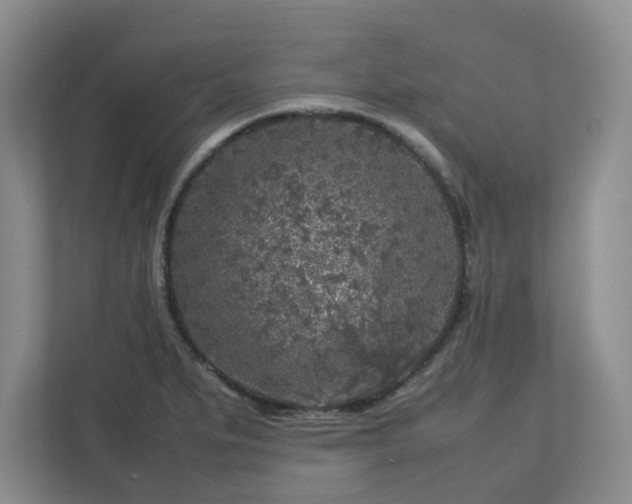 X0000112751279200908271534