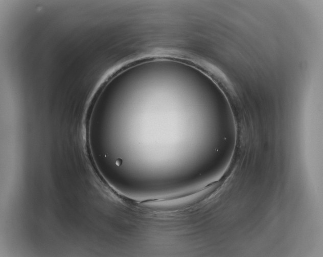 X0000112751280200908271534