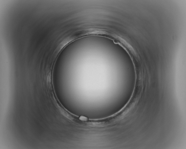 X0000112751281200908271534