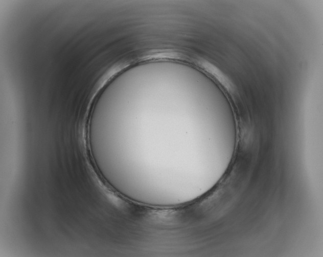 X0000112751282200908271534