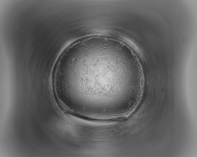 X0000112751283200908271534