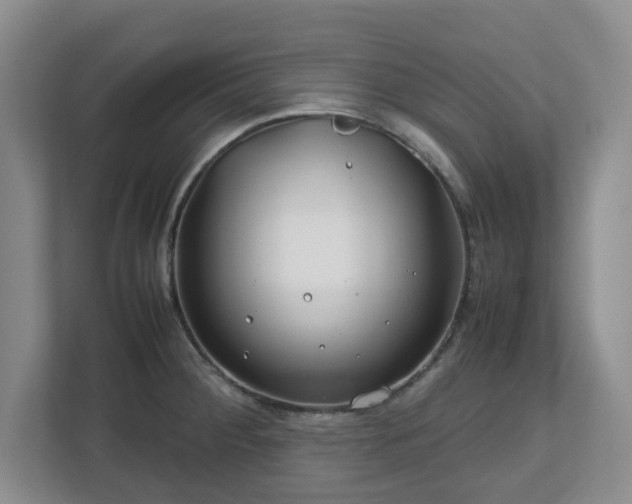 X0000112751284200908271534