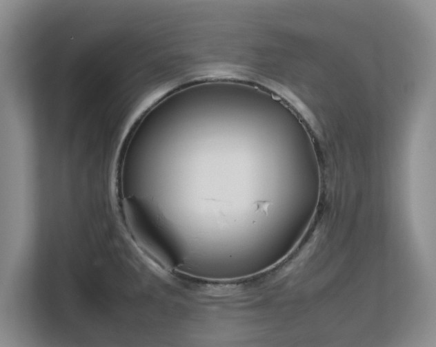 X0000112751285200908271534