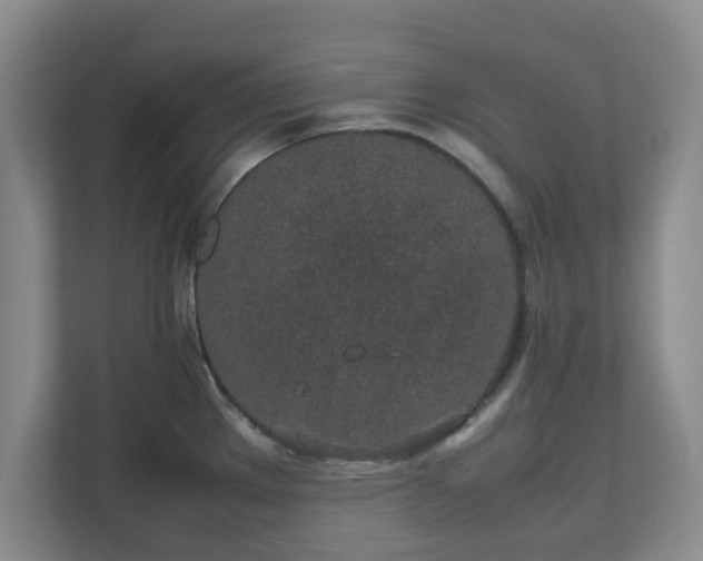 X0000112751289200908271534