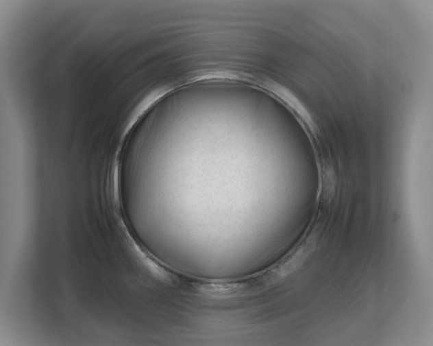 X0000112751290200908271534